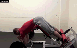 图片[2]-经常腰酸乏力？4招下背核心训练，帮你找回战斗力！