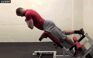 图片[3]-经常腰酸乏力？4招下背核心训练，帮你找回战斗力！