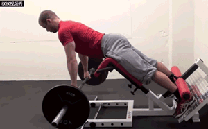 图片[4]-经常腰酸乏力？4招下背核心训练，帮你找回战斗力！